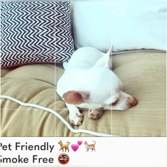 Billabong Surf's Up Cropped Tank Top - Picture 12 of 12